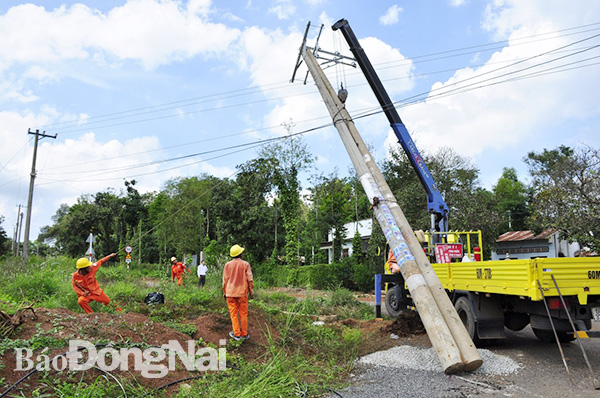 Công nhân Điện lực Long Thành (PC Đồng Nai) đang dựng trụ ghép lưới điện trung thế tại huyện Long Thành. (Ảnh: Văn Chính)