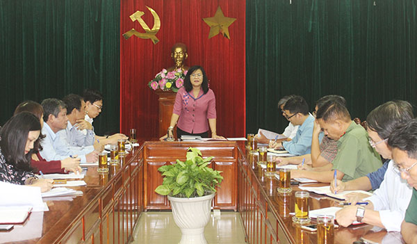 Phó chủ tịch UBND tỉnh Nguyễn Hòa Hiệp chủ trì buổi làm việc