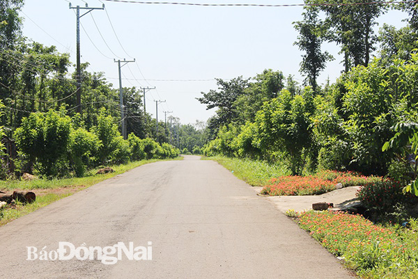 Tuyến đường nông thôn mới ở xã nông thôn mới nâng cao Lâm San (huyện Cẩm Mỹ)
