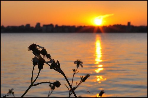 Khi bóng xế chiều