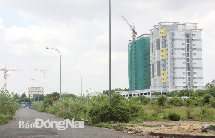 Dự án Khu dân cư Phú Hội nằm ngay trung tâm hành chính huyện Nhơn Trạch bỏ hoang nhiều năm