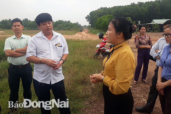 Đoàn giám sát thực địa tại một khu vực thuộc phường Tân Phong
