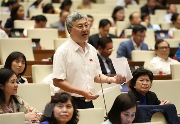  Đại biểu Quốc hội tỉnh Bắc Giang Trần Văn Lâm phát biểu ý kiến. (Ảnh: Văn Điệp/TTXVN)
