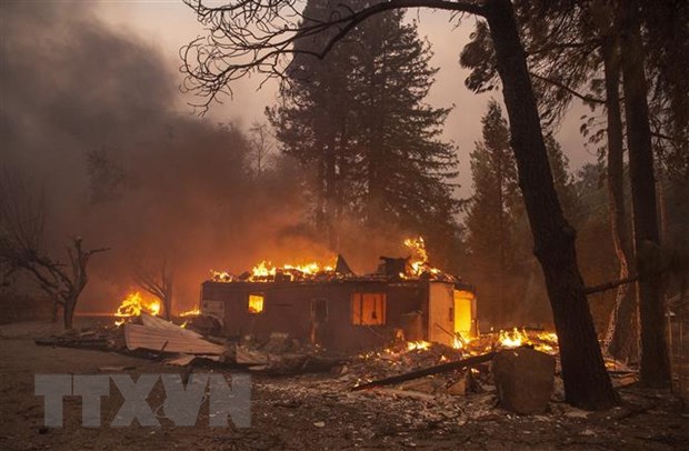 Mỹ: Bang California ban bố tình trạng khẩn cấp vì cháy rừng