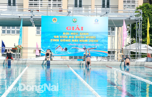 Các VĐV xuất phát thi đấu nội dung bơi