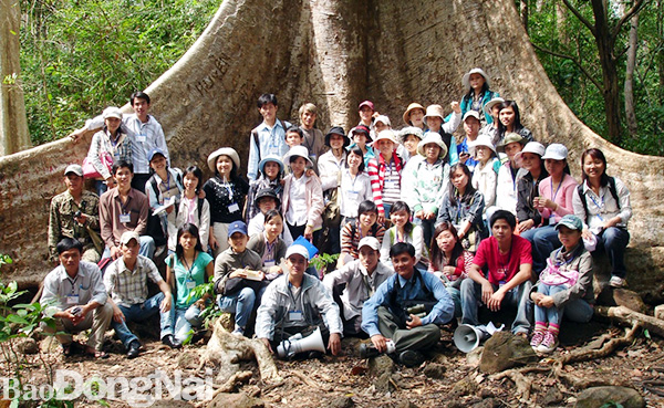 Du khách chụp hình lưu niệm cùng cây tùng 400 tuổi với bộ rễ khổng lồ