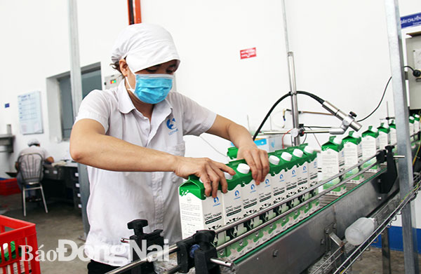 Quy trình sản xuất, đóng gói sản phẩm tại Công ty cổ phần Lothamilk (TP.Biên Hòa)