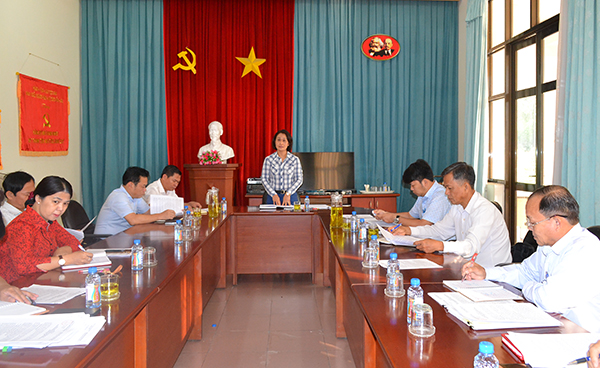 Phó trưởng ban thường trực Ban Tổ chức Tỉnh ủy Đặng Minh Nguyệt phát biểu tại buổi làm việc.