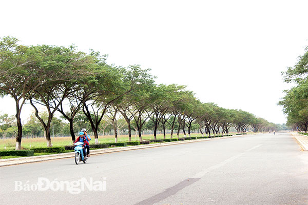 Dự án Khu dân cư xã Long Tân (H.Nhơn Trạch) đã hoàn thành hạ tầng và được bán hết nhưng nhiều năm không người ở. Ảnh: H.Giang