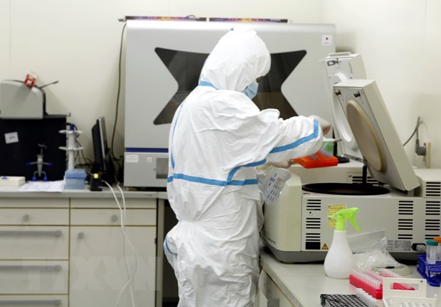Cán bộ y tế Viện Vệ sinh dịch tễ Trung ương xét nghiệm các mẫu bệnh phẩm nhiễm và nghi nhiễm COVID-19 tại labo (ảnh chụp chiều 24-2). Ảnh: TTXVN