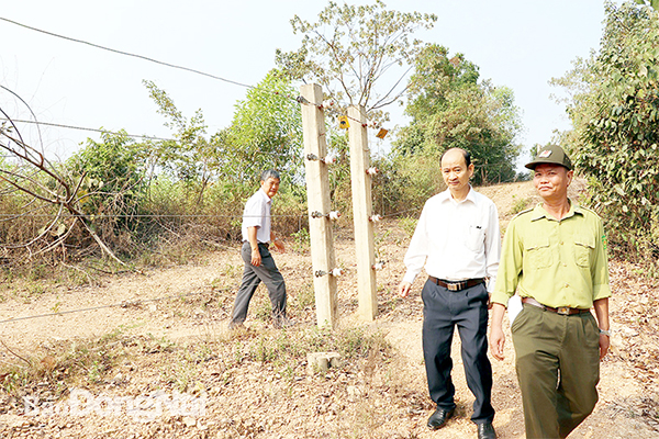 Hàng rào điện tử xã Phú Lý (H.Vĩnh Cửu) sẽ làm nối tiếp thêm 20km qua xã Thanh Sơn (H.Định Quán). Ảnh: H. Giang