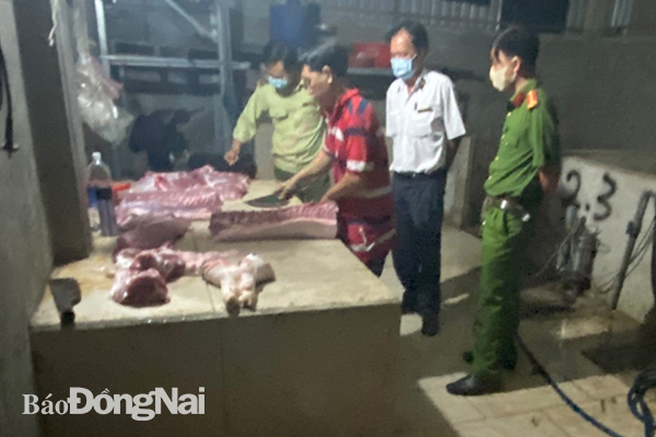 Lực lượng chức năng kiểm tra, phát hiện cơ sở giết mổ heo lậu ở xã Phước Bình, H.Long Thành. (Ảnh: CTV)