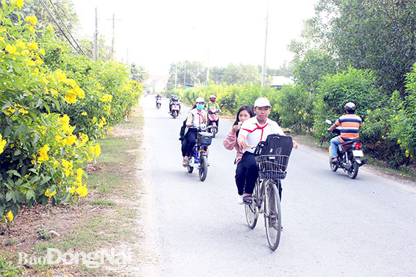 Tuyến đường sáng - xanh - sạch - đẹp tại xã Bình Lợi (H.Vĩnh Cửu)