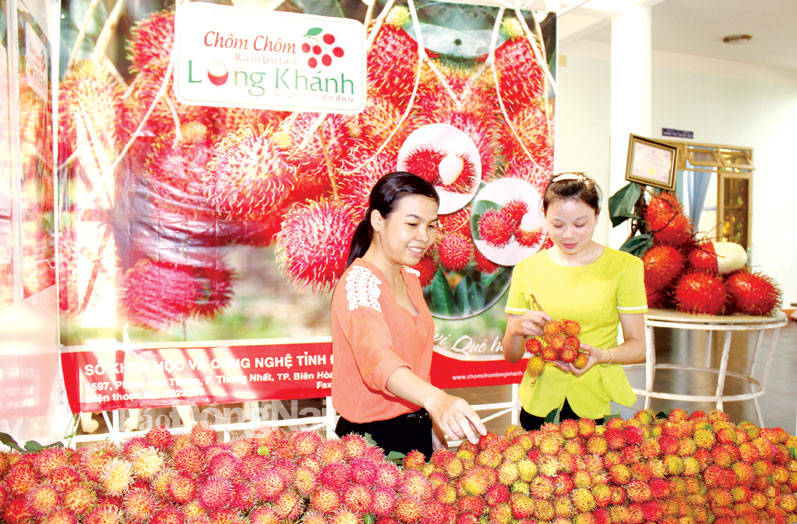 Đăng ký nhãn hiệu hàng hóa: Doanh nghiệp vẫn ngại ngần