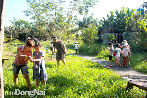 Trẻ em và cha mẹ tham gia thi bắt cào cào tại Nông trại Dốc Mơ (H.Thống Nhất). Ảnh: L.Quyên
