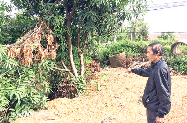 Một khu đất ở xã Phú Ngọc (H.Định Quán) bị cấp giấy chứng nhận quyền sử dụng đất chồng lấn. Ảnh: Đ.Phú