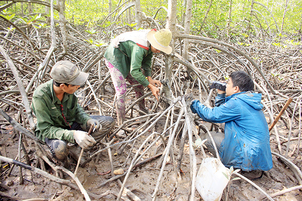 Nhà báo tác nghiệp trong rừng ngập mặn tại H.Nhơn Trạch