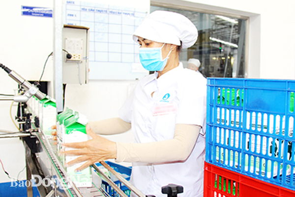 Các doanh nghiệp trong tỉnh chú trọng đổi mới công nghệ để nâng cao chất lượng, mẫu mã sản phẩm, nâng cao sức cạnh tranh trong bối cảnh hội nhập. Trong ảnh: Quy trình sản xuất, đóng gói sản phẩm tại Công ty CP Lothamilk (TP.Biên Hòa). Ảnh: Hải Quân