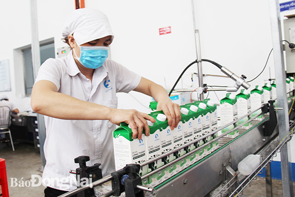 Các doanh nghiệp trong tỉnh chú trọng đổi mới công nghệ để nâng cao chất lượng, mẫu mã sản phẩm, nâng cao sức cạnh tranh trong bối cảnh hội nhập. Trong ảnh: Quy trình sản xuất, đóng gói sản phẩm tại Công ty CP Lothamilk (TP.Biên Hòa)