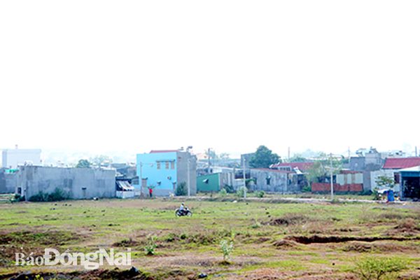 Một phần khu đất được quy hoạch để xây dựng khu đô thị tái định cư tại P.Hóa An (TP.Biên Hòa). Ảnh: Q.NHI