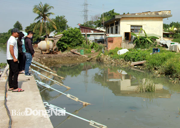 Đoàn công tác khảo sát khu vực bờ sông. Ảnh: B.Nguyên