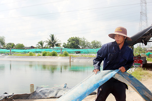 Một số người dân ở ấp Bà Trường, xã Phước An (H.Nhơn Trạch) đầu tư bạc tỷ cho những vuông tôm. Ảnh: Đ.PHÚ