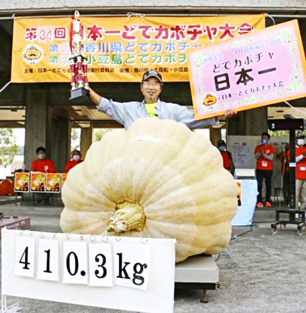 Ông Hiroyoshi Utsunomiya bên quả bí ngô giành giải nhất cuộc thi trồng bí ngô nặng nhất tại Nhật Bản, ngày 20-9-2020. Ảnh: Kyodo/TTXVN