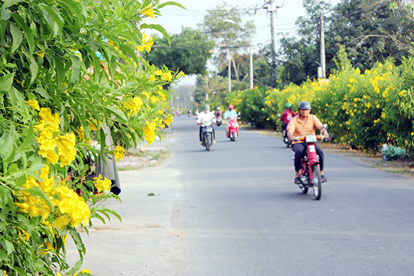 Tuyến đường nông thôn sáng - xanh - sạch - đẹp tại xã Bình Lợi (H.Vĩnh Cửu)