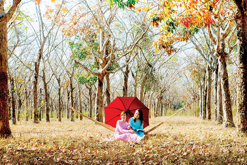 Sức thu hút của những làng quê…