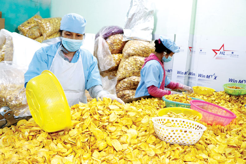 Chế biến trái cây sấy tại Công ty TNHH Thương mại sản xuất mít sấy Hưng Phát (xã Bình Lộc, TP.Long Khánh)