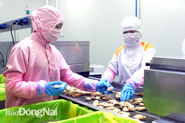 Sản xuất thịt gà xuất khẩu sang Nhật Bản tại Công ty TNHH Koyu & Unitex Việt Nam ở Khu công nghiệp Loteco (TP.Biên Hòa). Ảnh:K. Minh