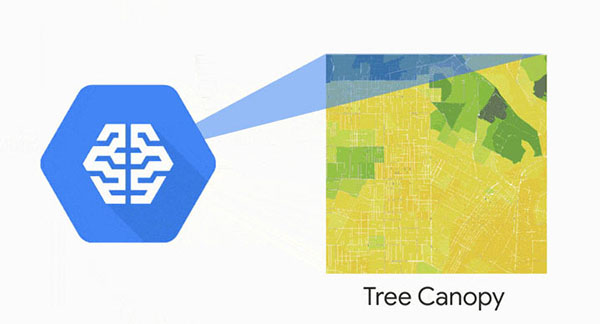Sau đó tổng hợp lại và đưa ra thông tin cho Phòng thí nghiệm Tán cây (Tree Canopy Lab) Ảnh: Google