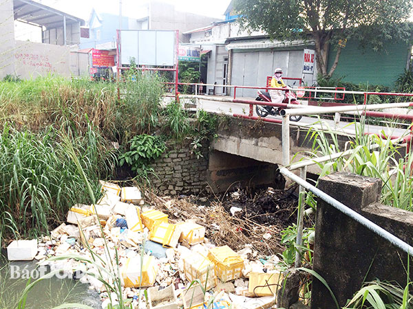 Rác 'bủa vây' suối đã được dọn sạch