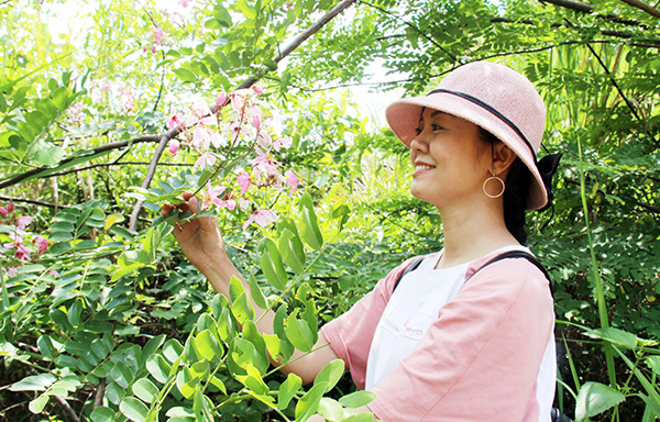 Du khách chụp ảnh với hoa muồng đào tại Vườn quốc gia Cát Tiên (H.Tân Phú). Ảnh: Hải Quân