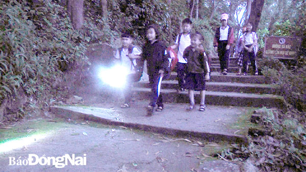 Các em nhỏ soi đèn xuống núi đi học. Ảnh: Hải Đình