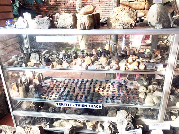 Những mẫu vật hóa thạch cổ sinh