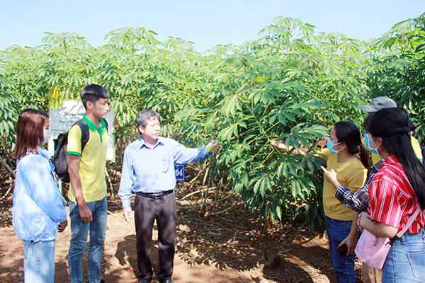 TS Nguyễn Hữu Hỷ hướng dẫn cho sinh viên đến thực tập tại Trung tâm Nghiên cứu thực nghiệm nông nghiệp Hưng Lộc (H.Trảng Bom)