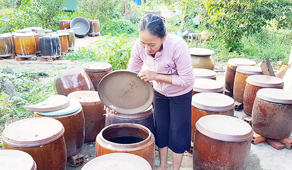 Bà Bảy Muôn kiểm tra các lu ủ nước mắm truyền thống tại vườn nhà