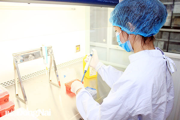 Nhân viên y tế Bệnh viện Đa khoa Đồng Nai thực hiện xét nghiệm SARS-CoV-2