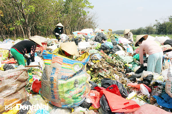 Nhiều người nhặt phế liệu tại bãi rác tạm trên địa bàn H.Long Thành. Ảnh: Lê An