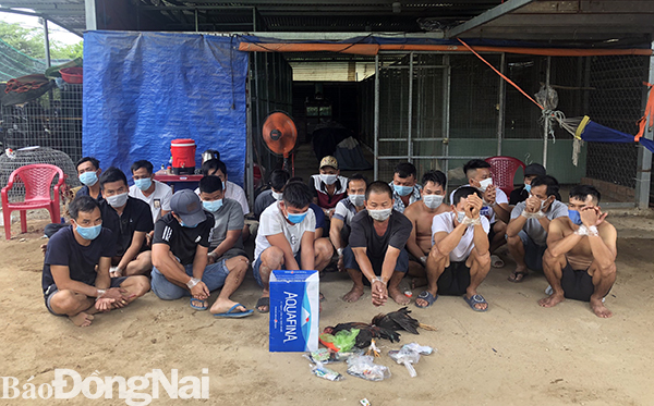 Các đối tượng tham gia sòng gà tại P.An Bình bị công an bắt giữ cùng tang vật. Ảnh CTV