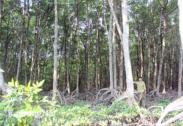 Du lịch Đồng Nai: Đẩy nhanh phát triển du lịch sinh thái rừng