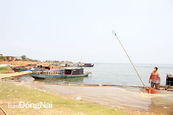 Một góc bình yên của làng bè Bến Nôm 2, xã Phú Cường (H.Định Quán). Ảnh: Đoàn Phú