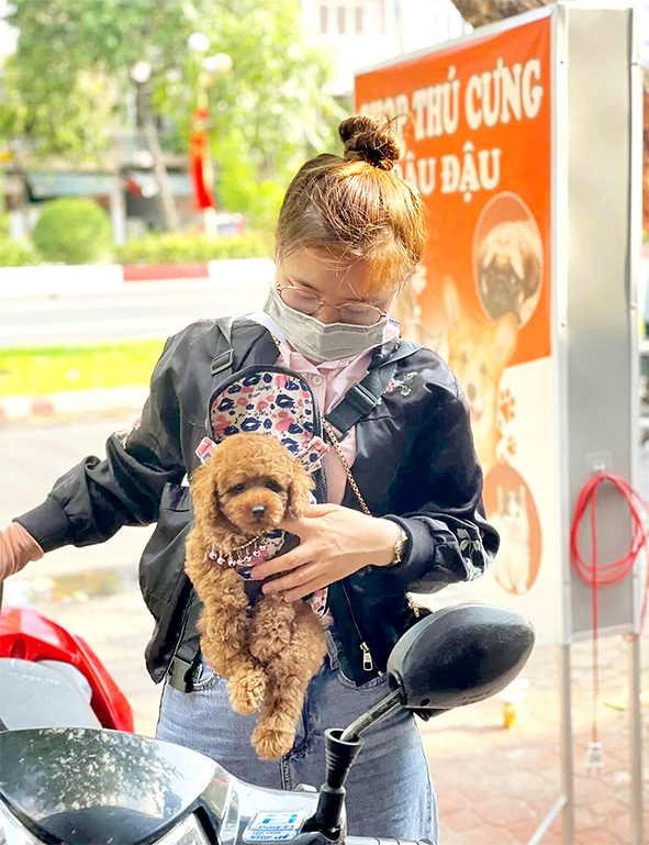 Khách hàng đưa thú cưng đến một pet shop ở TP.Biên Hòa để chuẩn bị “spa”, làm đẹp cho thú cưng