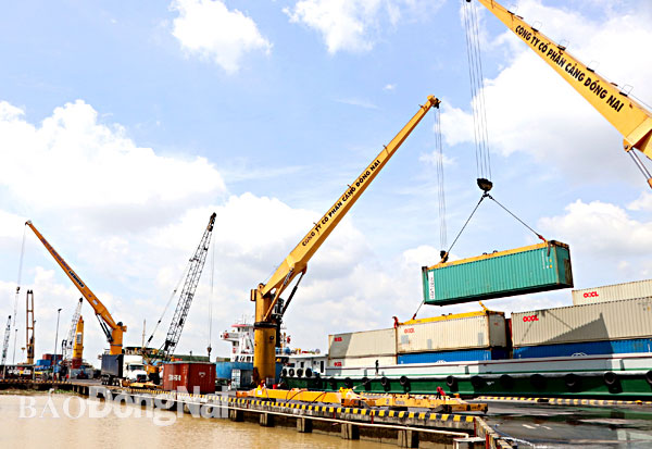 Hoạt động xuất nhập khẩu tại cảng Đồng Nai. Ảnh: N.LIÊN