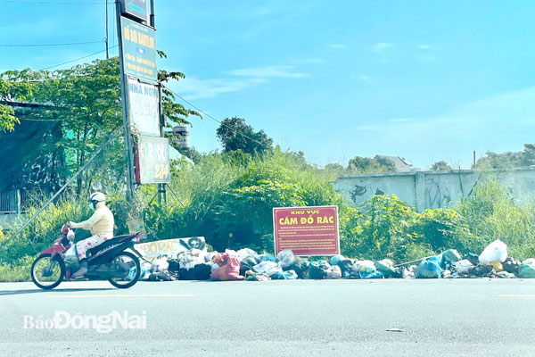 Đống rác trên đường Nguyễn Khuyến (P.Trảng Dài, TP.Biên Hòa) do người dân xả tràn lan, bất chấp biển cấm đổ rác. Ảnh: Đông Hồ
