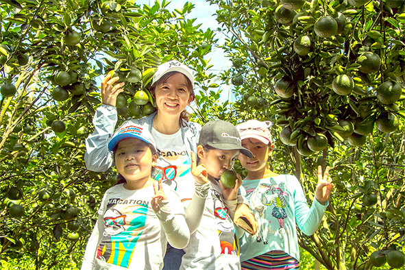 Du khách tham quan vườn cam Hiếu Liêm (H.Vĩnh Cửu). Ảnh: Văn Linh
