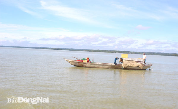 Một trường hợp đánh bắt thủy sản bằng lồng xếp (lợp xếp) trên hồ Trị An, mặc dù hình thức đánh bắt này bị cấm từ cuối năm 2018. Ảnh: Đoàn Phú