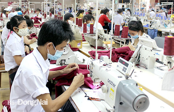Mặt hàng may mặc xuất khẩu qua thị trường EU đòi hỏi rất cao về nguồn gốc xuất xứ, quy trình sản xuất. Trong ảnh: Sản xuất tại Công ty CP Đồng Tiến (Khu công nghiệp Amata, TP.Biên Hòa). Ảnh: Khánh Minh