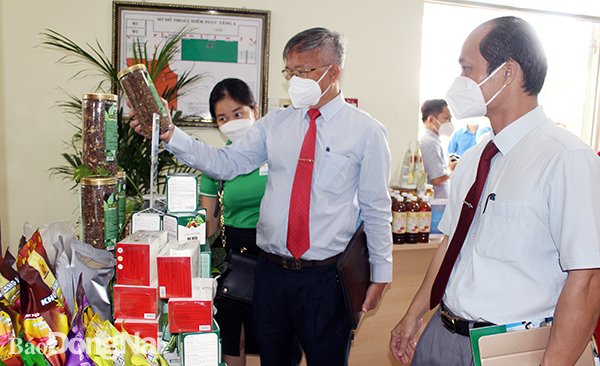 Chủ tịch UBND tỉnh Cao Tiến Dũng tham quan một gian hàng triển lãm trong ngày hội
